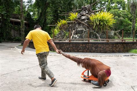 Hundreds of zoos and aquariums accused of .